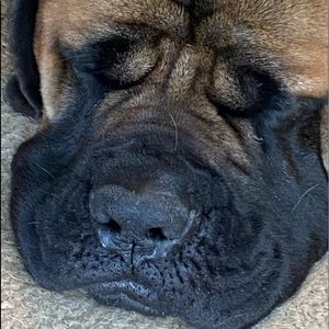 Meet your Posher, Angela